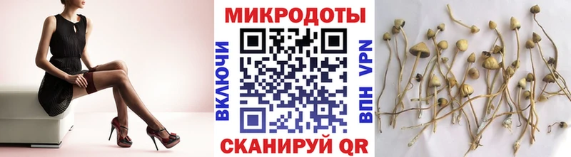 блэк спрут ТОР  Краснокамск  Галлюциногенные грибы мицелий  магазин  наркотиков 
